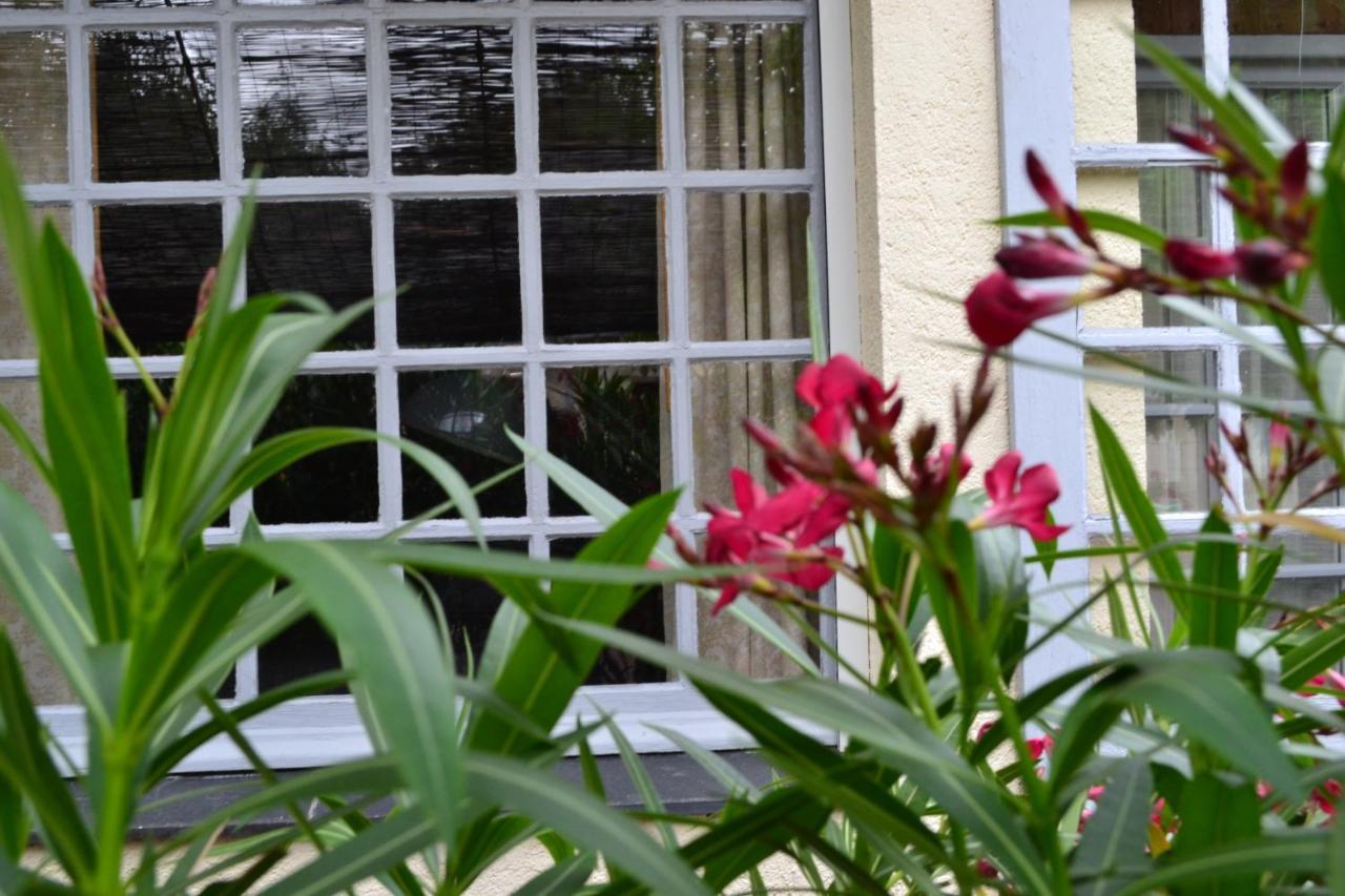 Maison D'Hotes La Chouanniere Panzió Les Bois-d'Anjou Kültér fotó